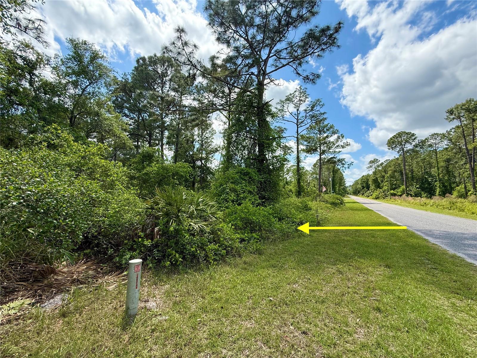Lot 2 Quince Ave Property Photo 1