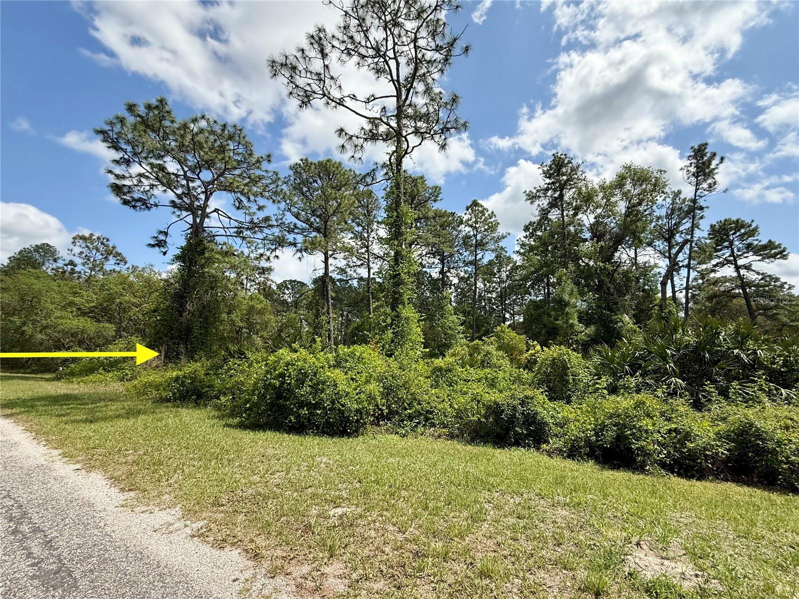 Lot 2 Quince Ave Property Photo 2