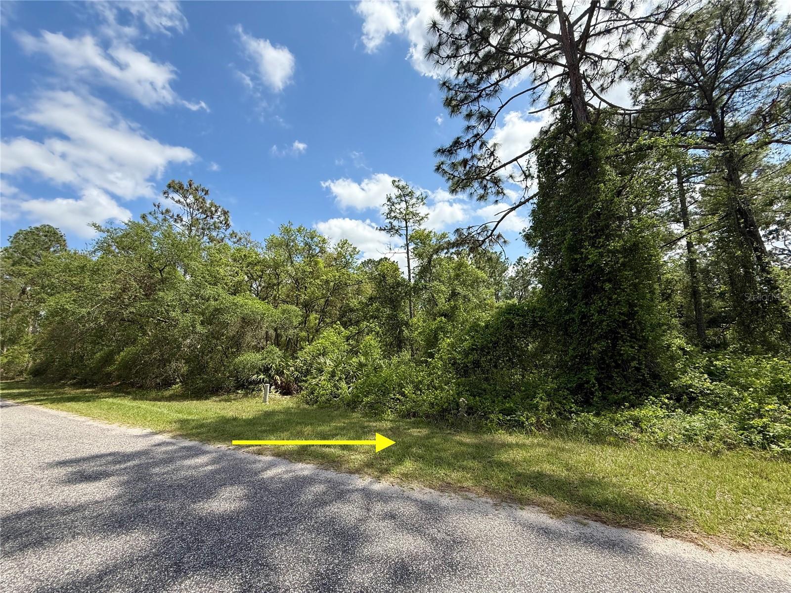 Lot 2 Quince Ave Property Photo 3
