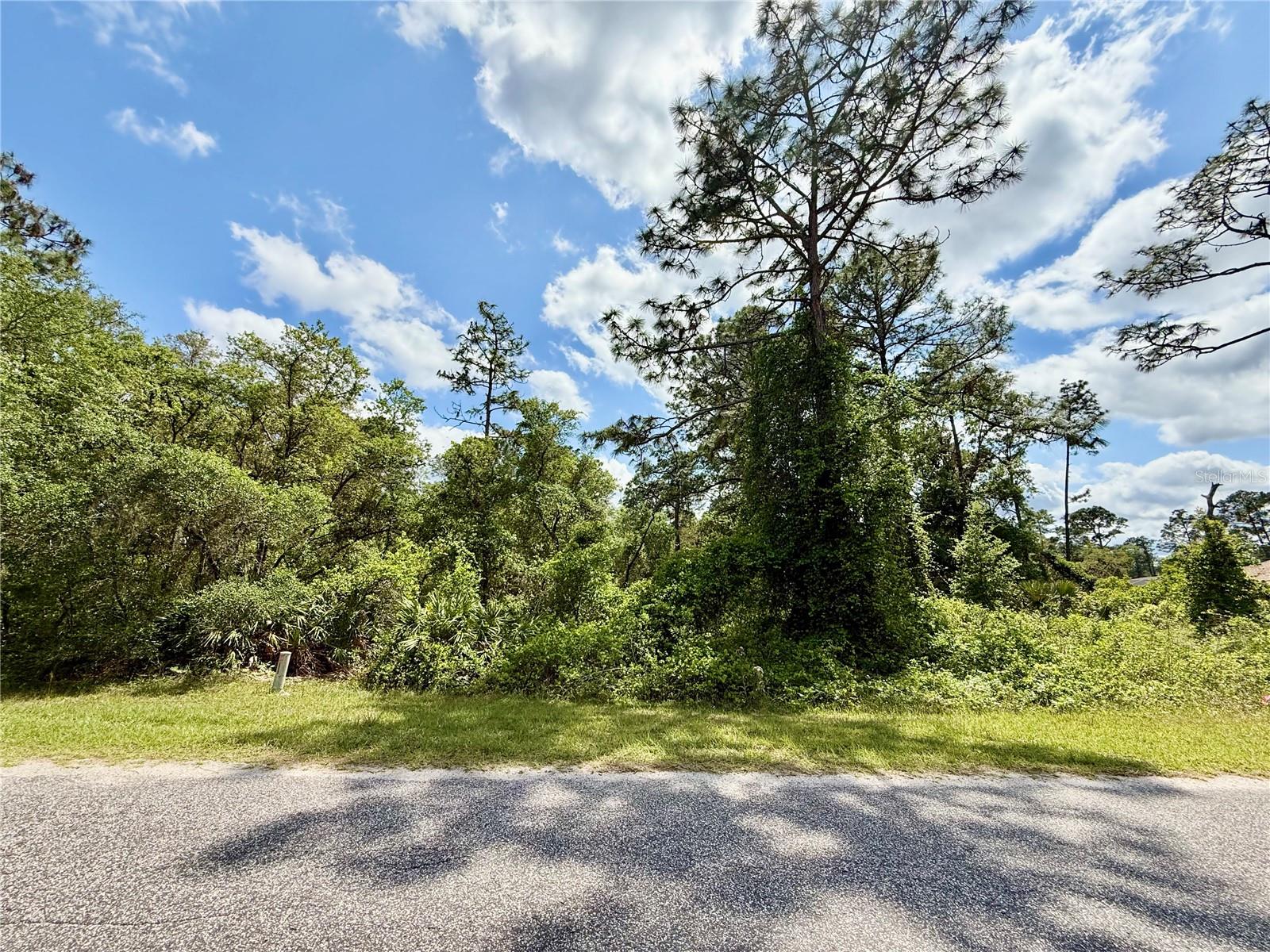Lot 2 Quince Ave Property Photo 6