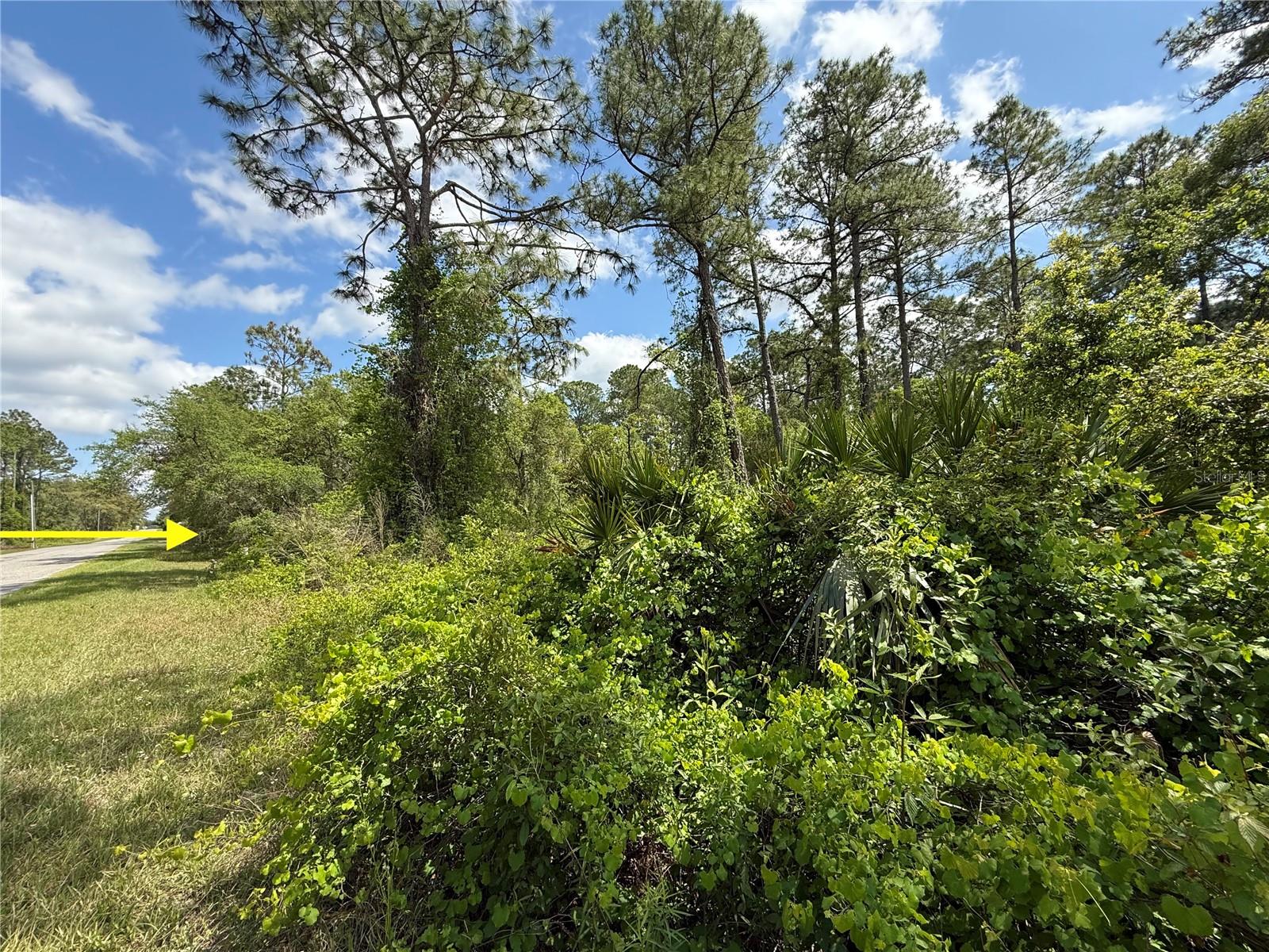 Lot 2 Quince Ave Property Photo 9
