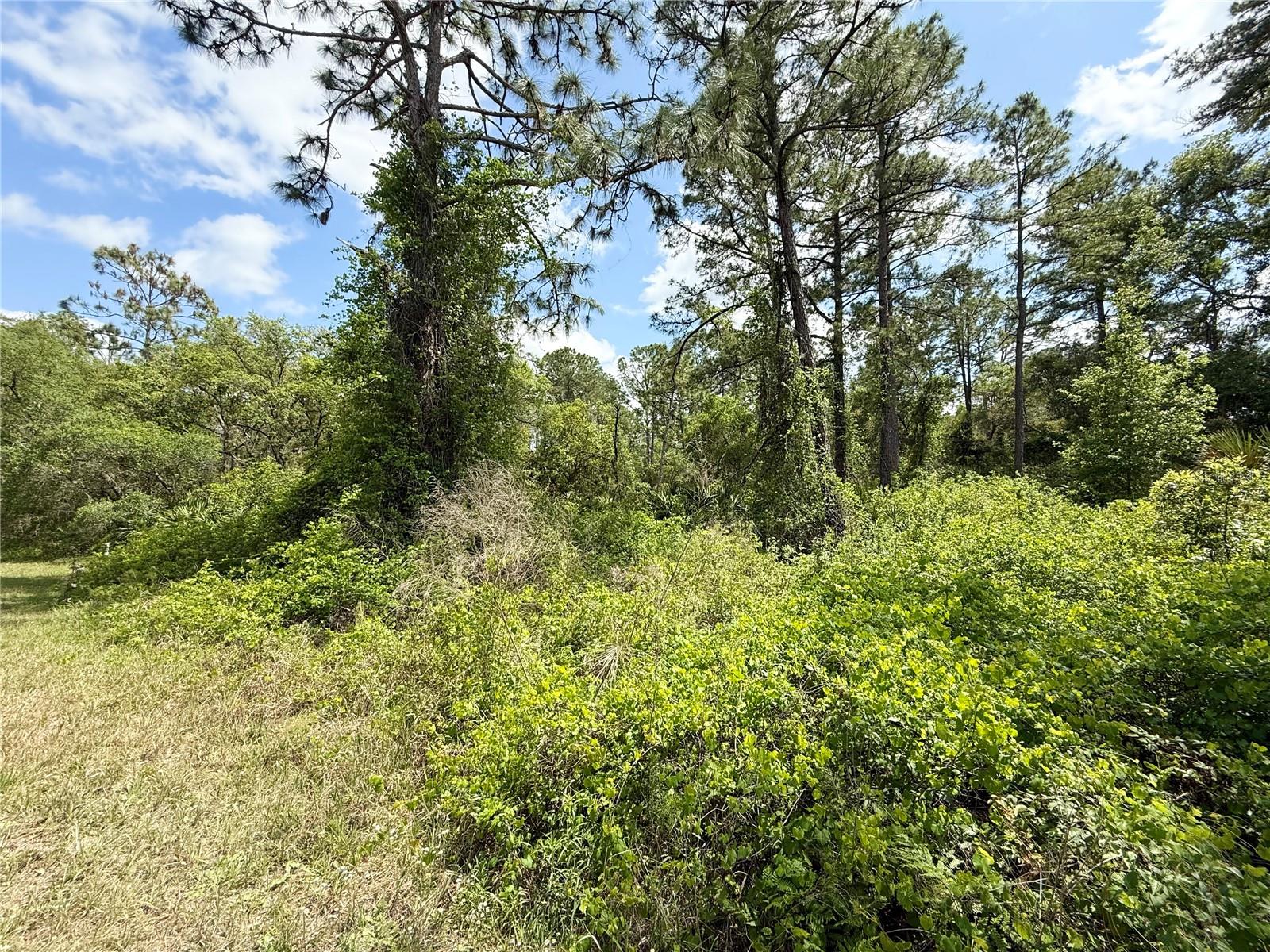 Lot 2 Quince Ave Property Photo 10
