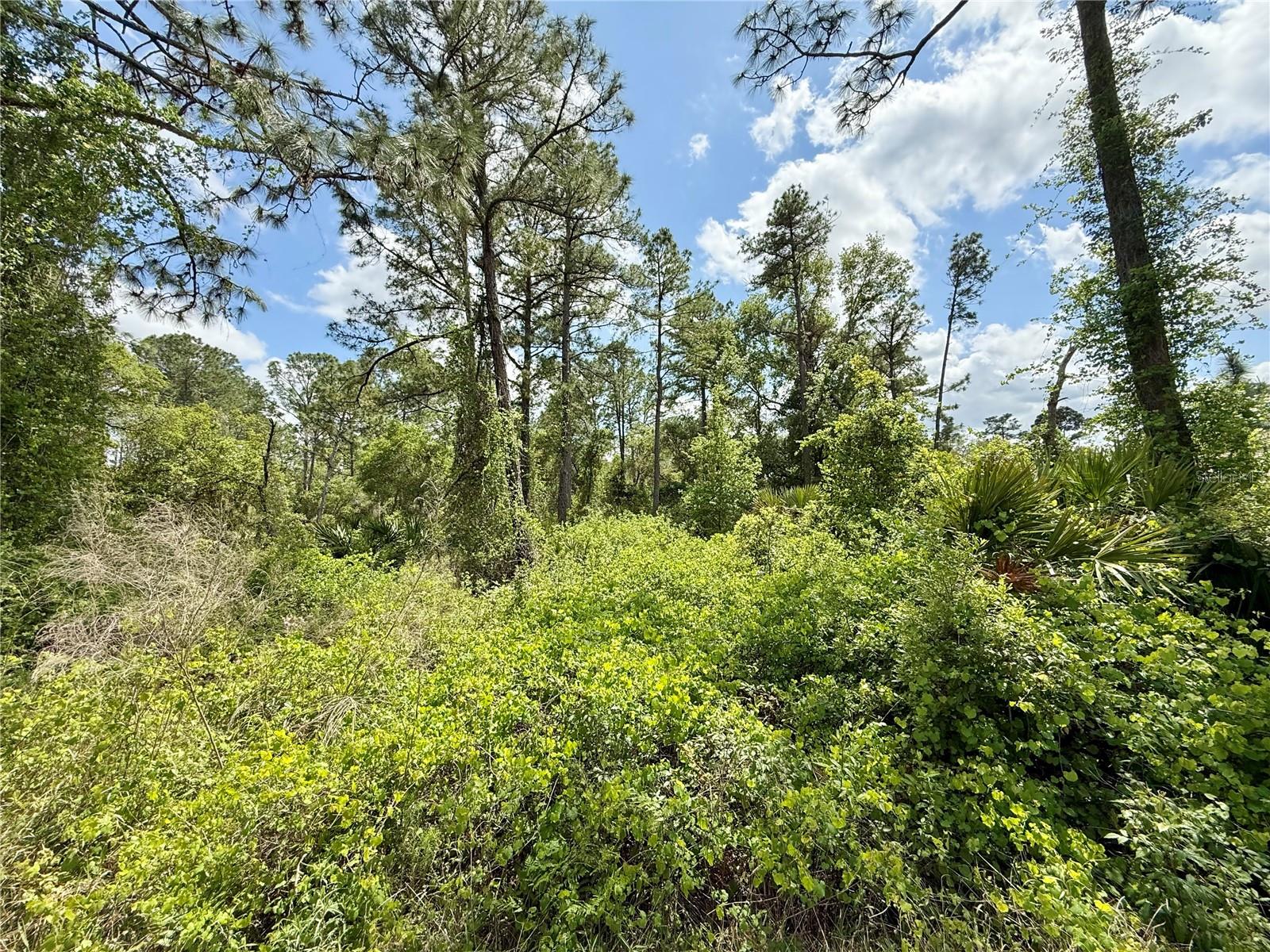 Lot 2 Quince Ave Property Photo 11