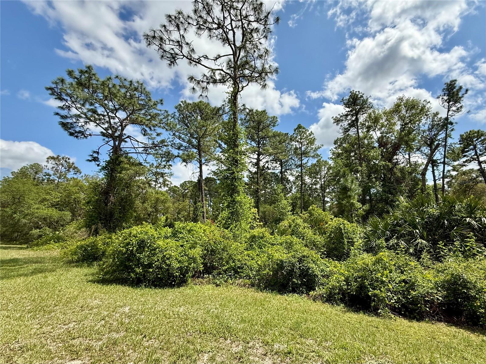 Lot 2 Quince Ave Property Photo 12