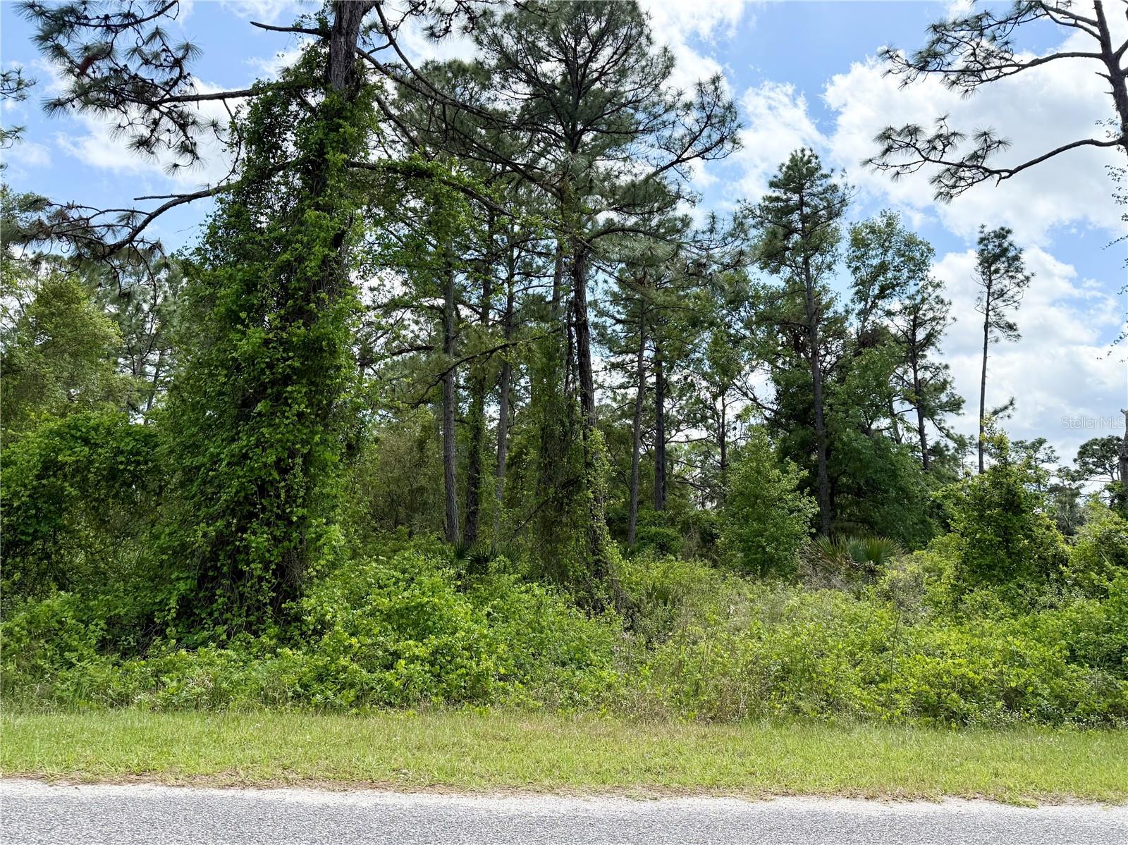Lot 2 Quince Ave Property Photo 14