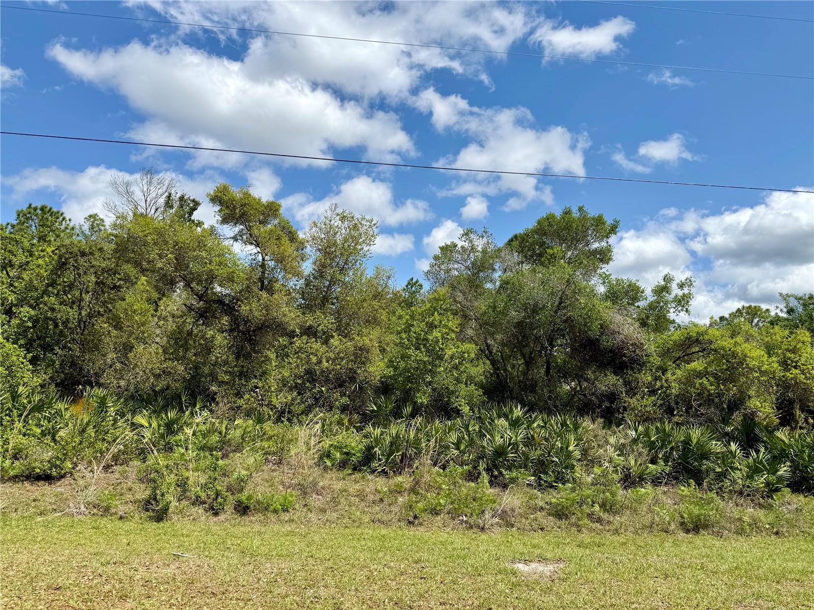 Lot 29 Apricot Ave Property Photo 1