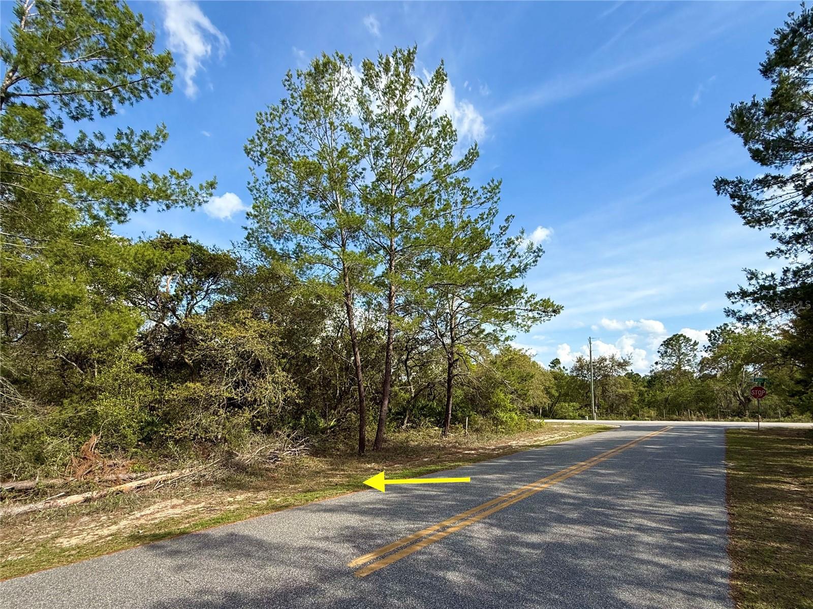 Lot 29 Alder Ave Property Photo 1