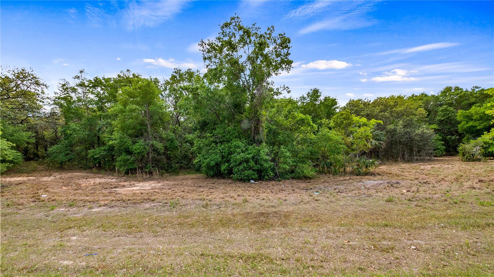 County Road 455 Property Photo