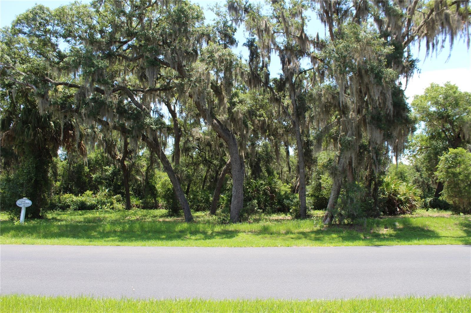 3117 BRIGHT LAKE CIR #lot 63 Property Photo 1