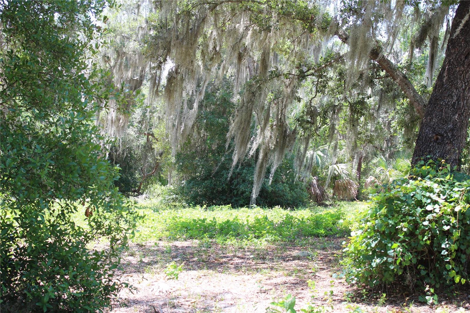3117 Bright Lake Cir #lot 63 Property Photo 2