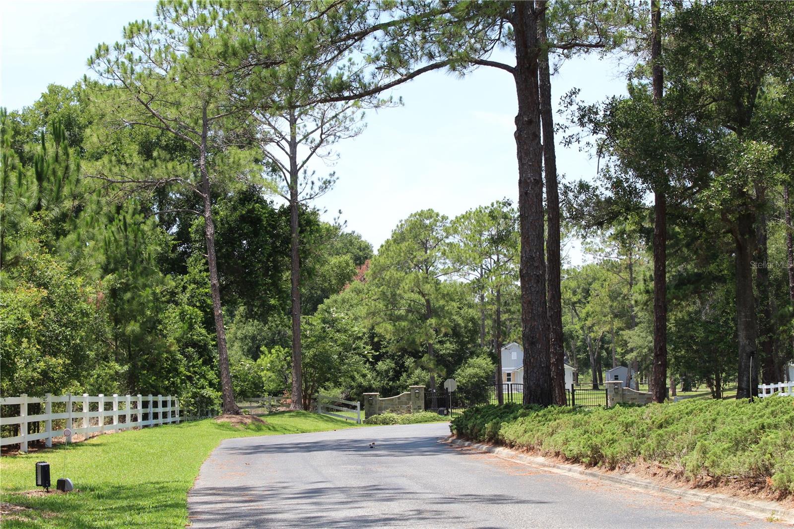 3117 Bright Lake Cir #lot 63 Property Photo 4