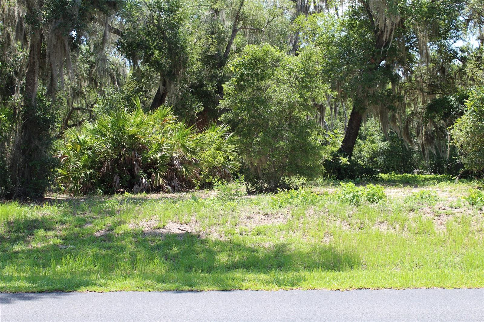 3117 Bright Lake Cir #lot 63 Property Photo 9