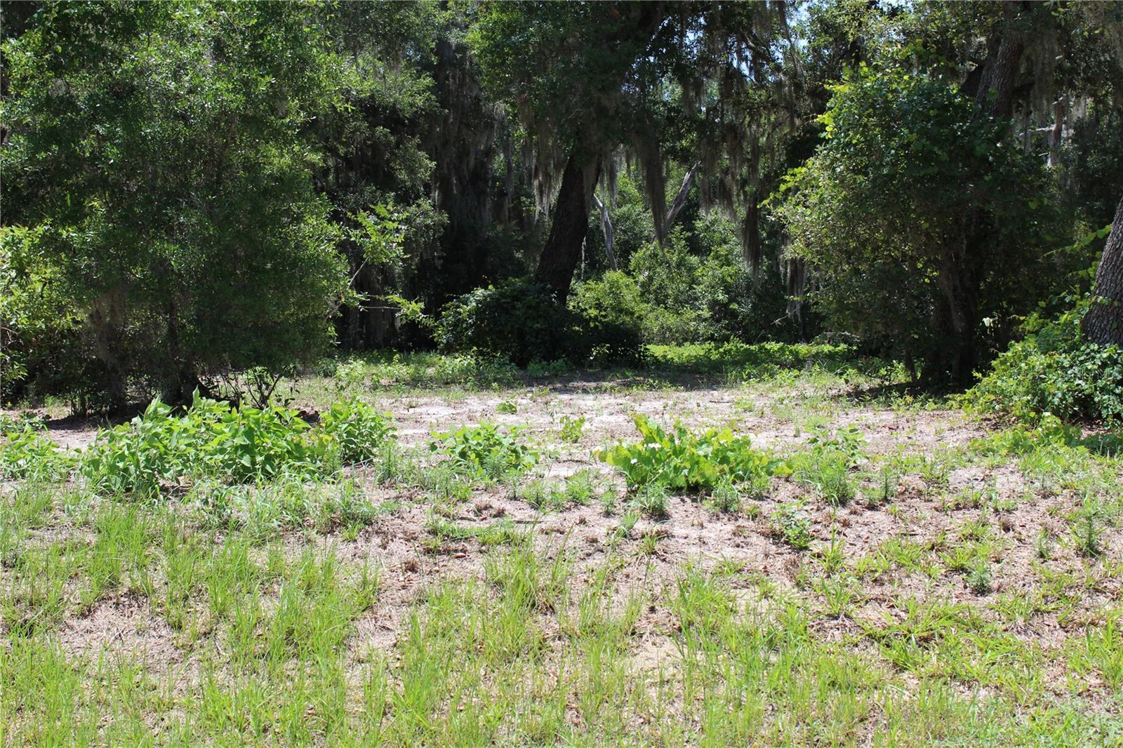 3117 Bright Lake Cir #lot 63 Property Photo 10