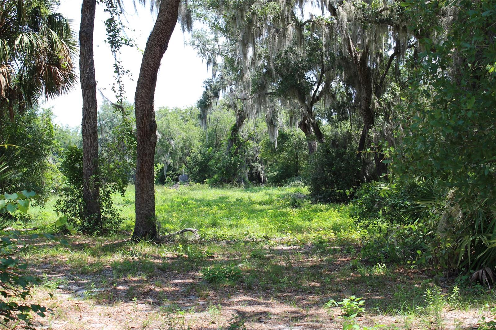 3117 Bright Lake Cir #lot 63 Property Photo 11