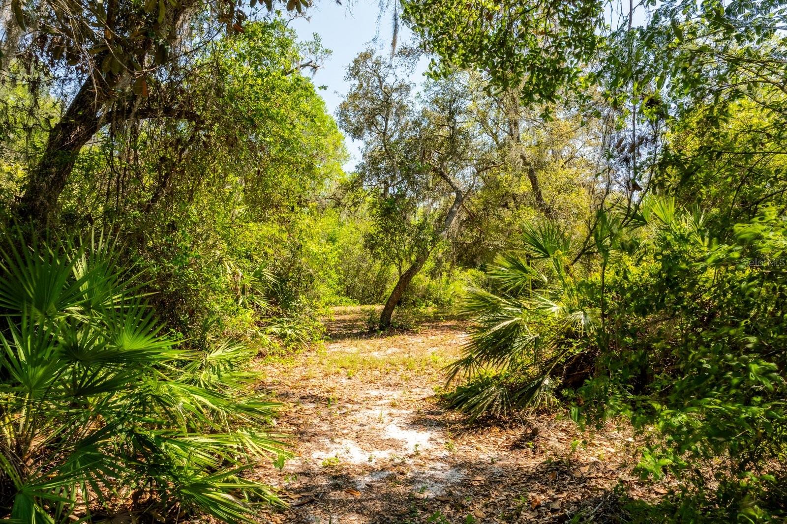 3117 Bright Lake Cir #lot 63 Property Photo 12
