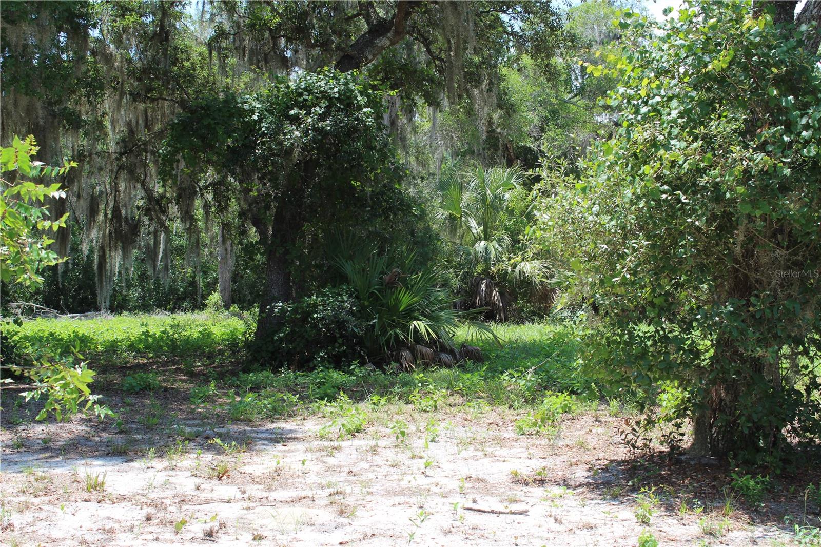 3117 Bright Lake Cir #lot 63 Property Photo 15