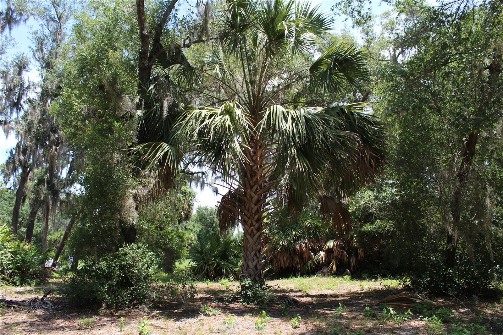 3117 Bright Lake Cir #lot 63 Property Photo 16