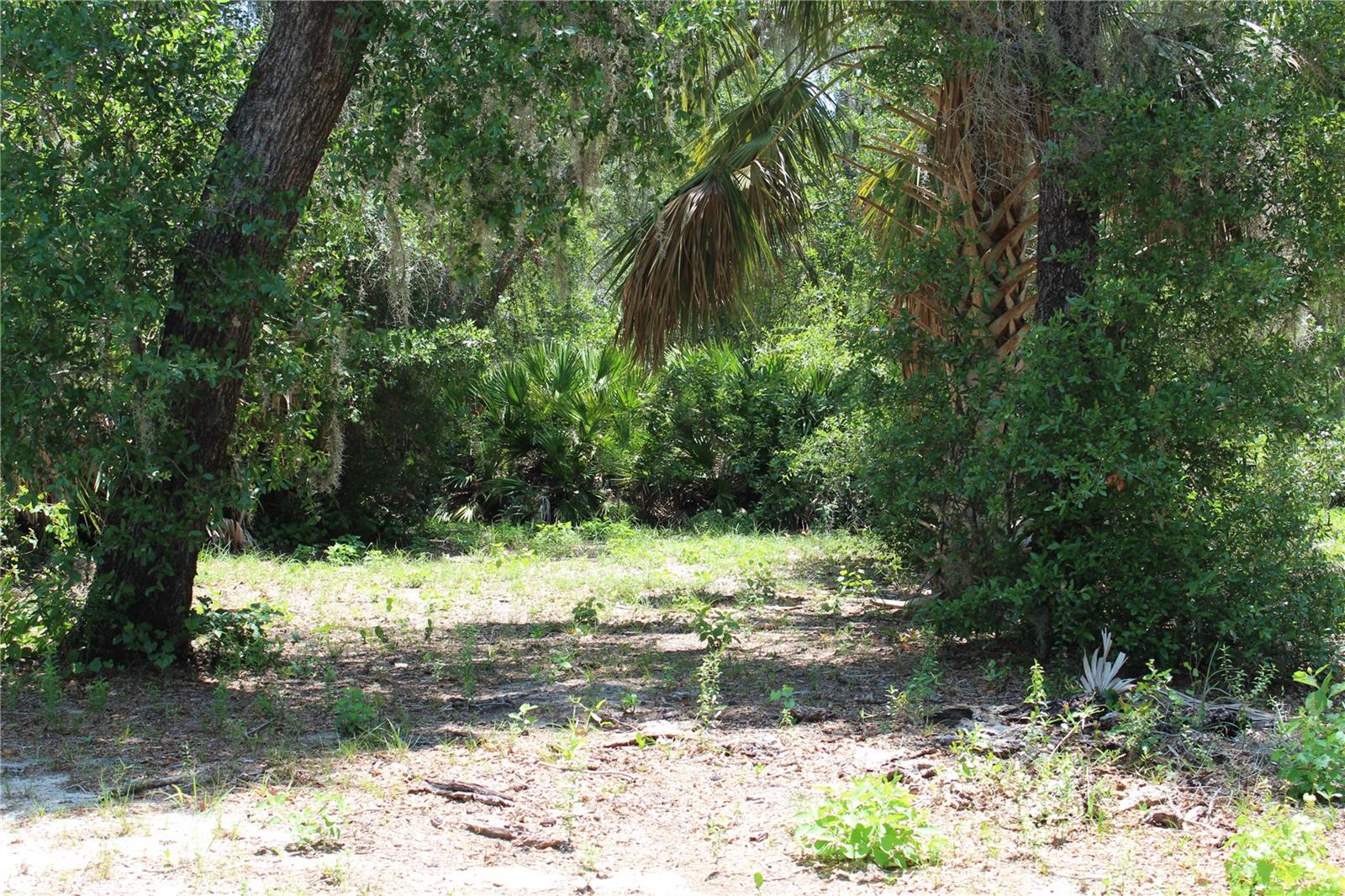 3117 Bright Lake Cir #lot 63 Property Photo 17