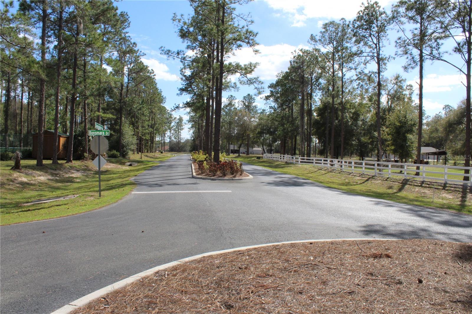 3117 Bright Lake Cir #lot 63 Property Photo 23