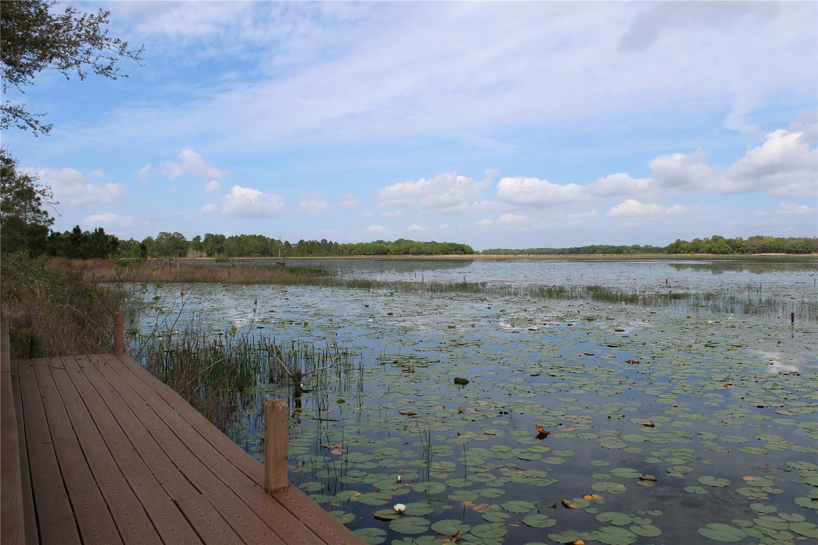 3117 Bright Lake Cir #lot 63 Property Photo 26