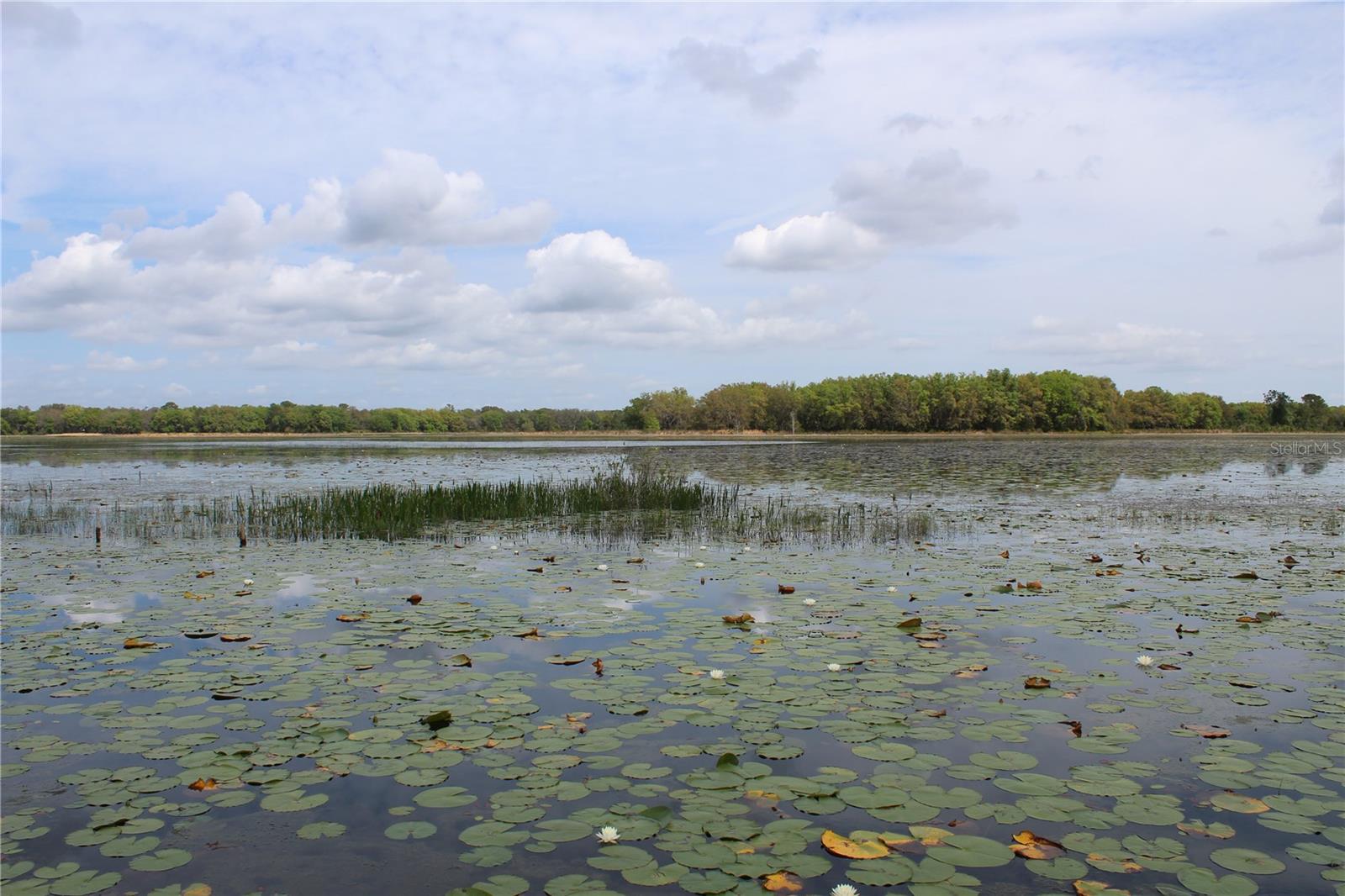 3117 Bright Lake Cir #lot 63 Property Photo 27