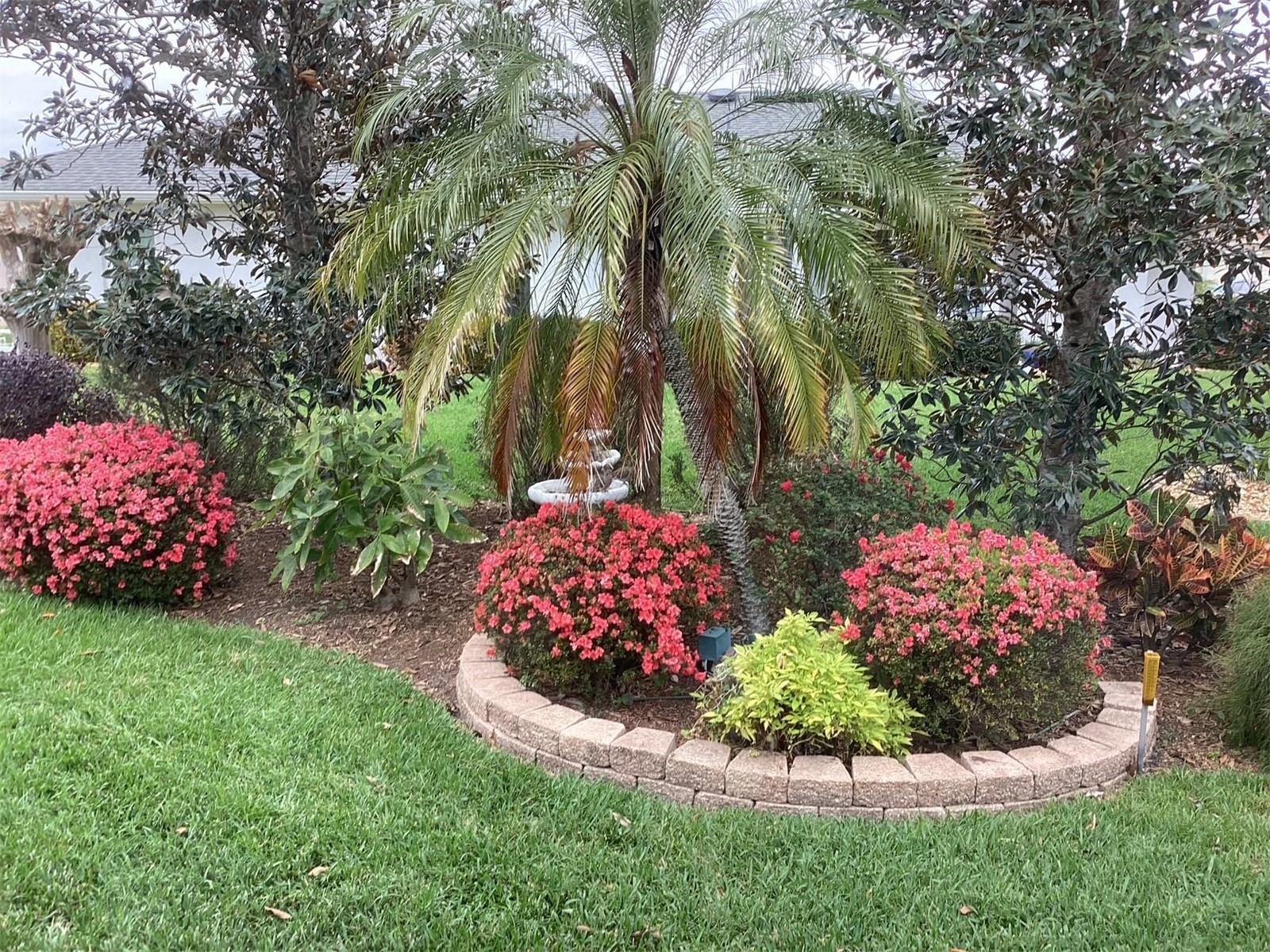 6608 Borg Property Photo 36