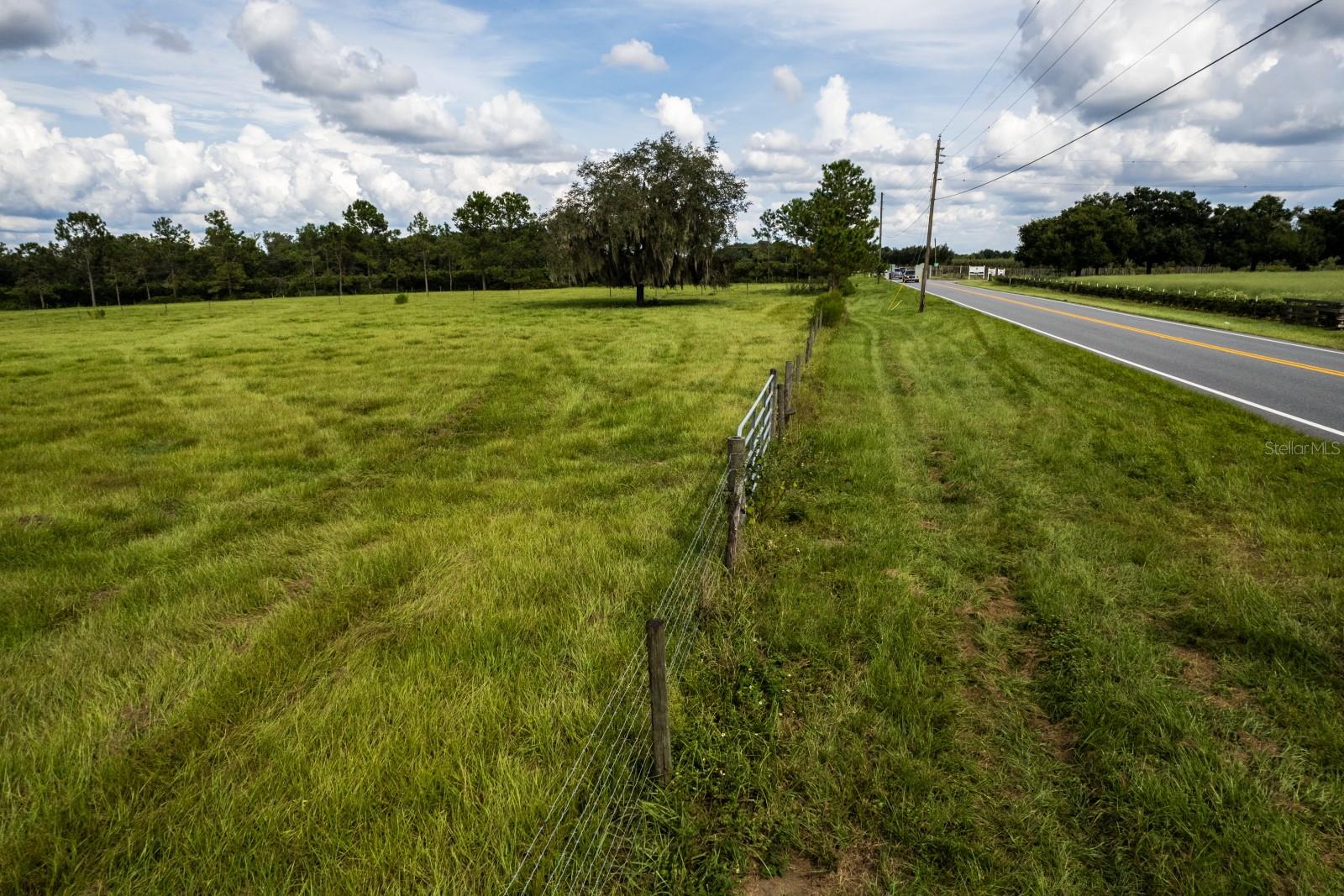 17931 County Road 448 Property Photo 4