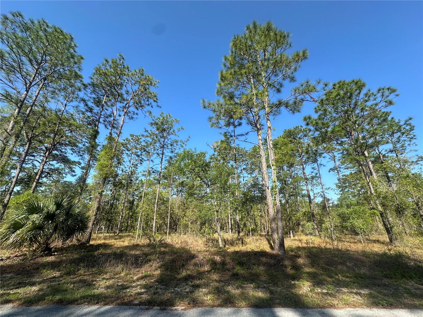 Nw Narcissus Rd Property Photo 1