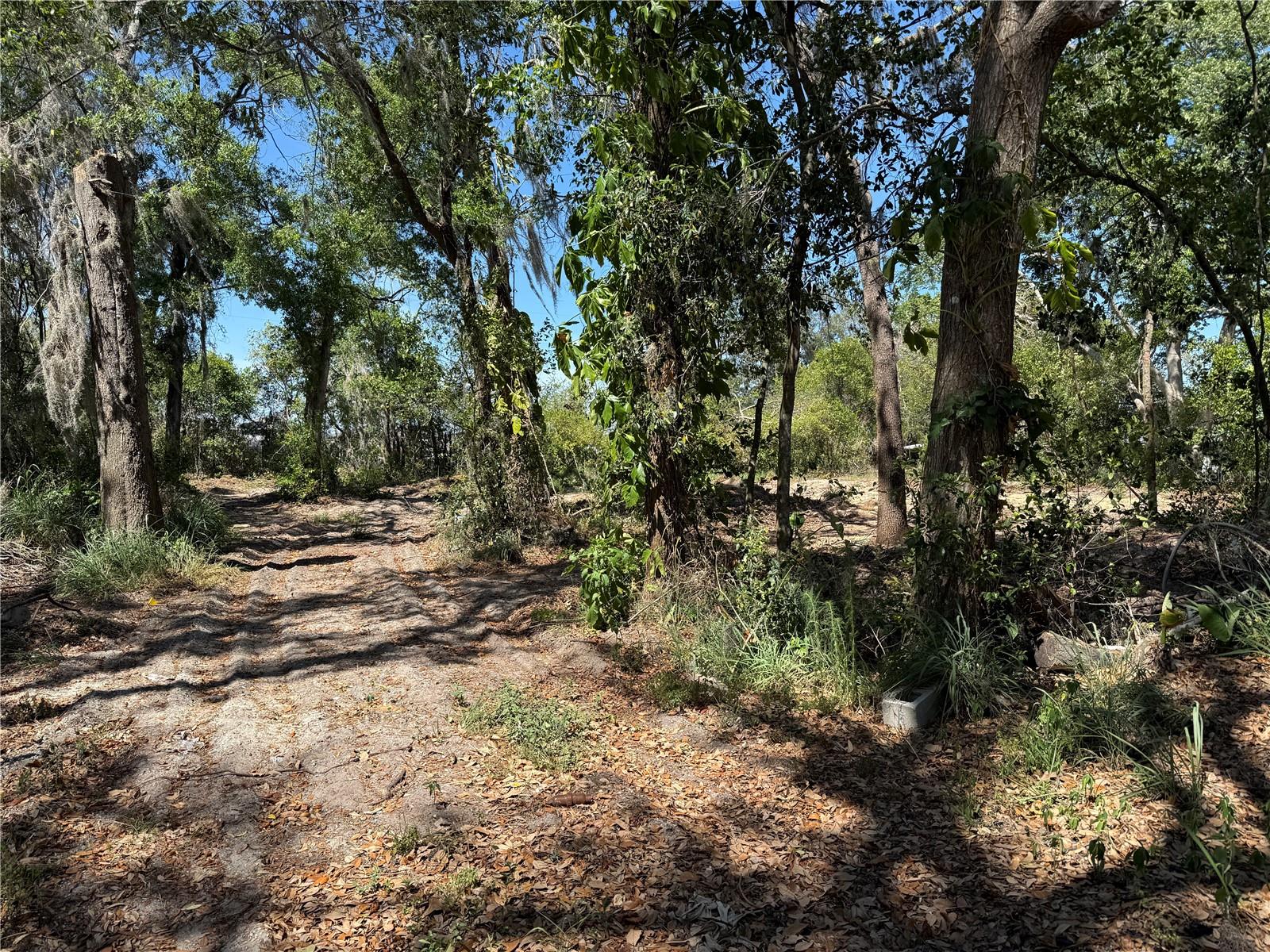 7th Ave Property Photo 11