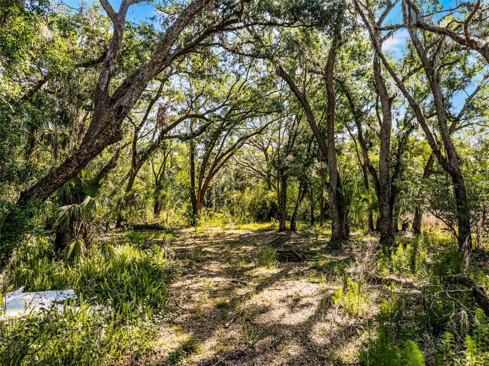 3633 Panther Path Rd Property Photo 4