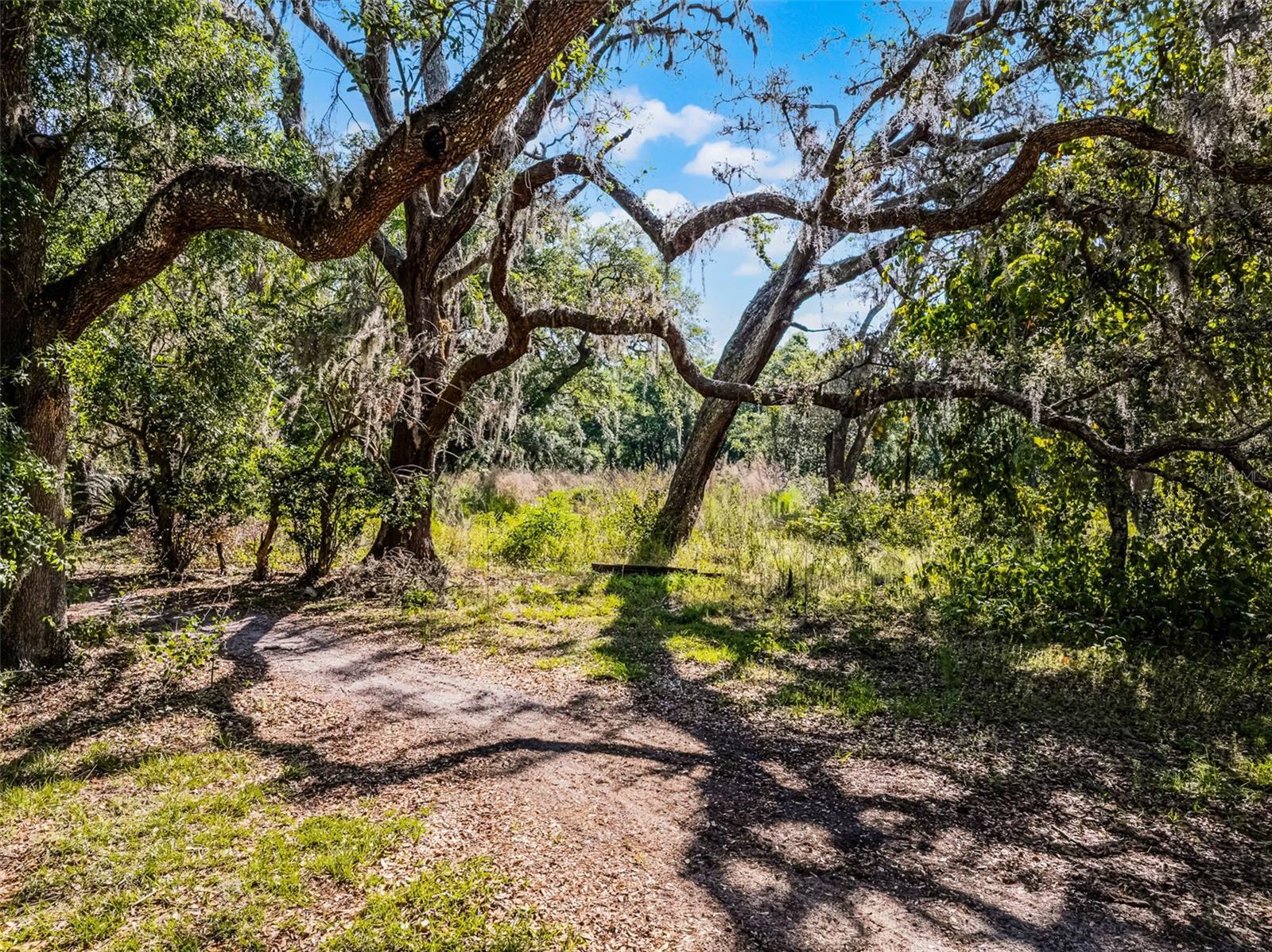 3633 Panther Path Rd Property Photo 6