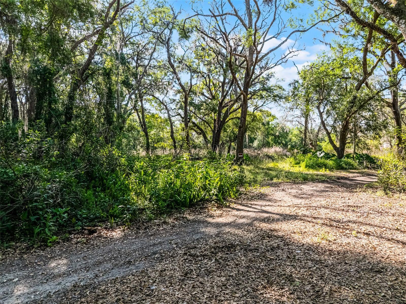 3633 Panther Path Rd Property Photo 8