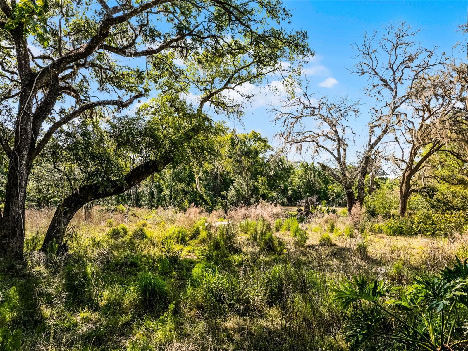 3633 Panther Path Rd Property Photo 10