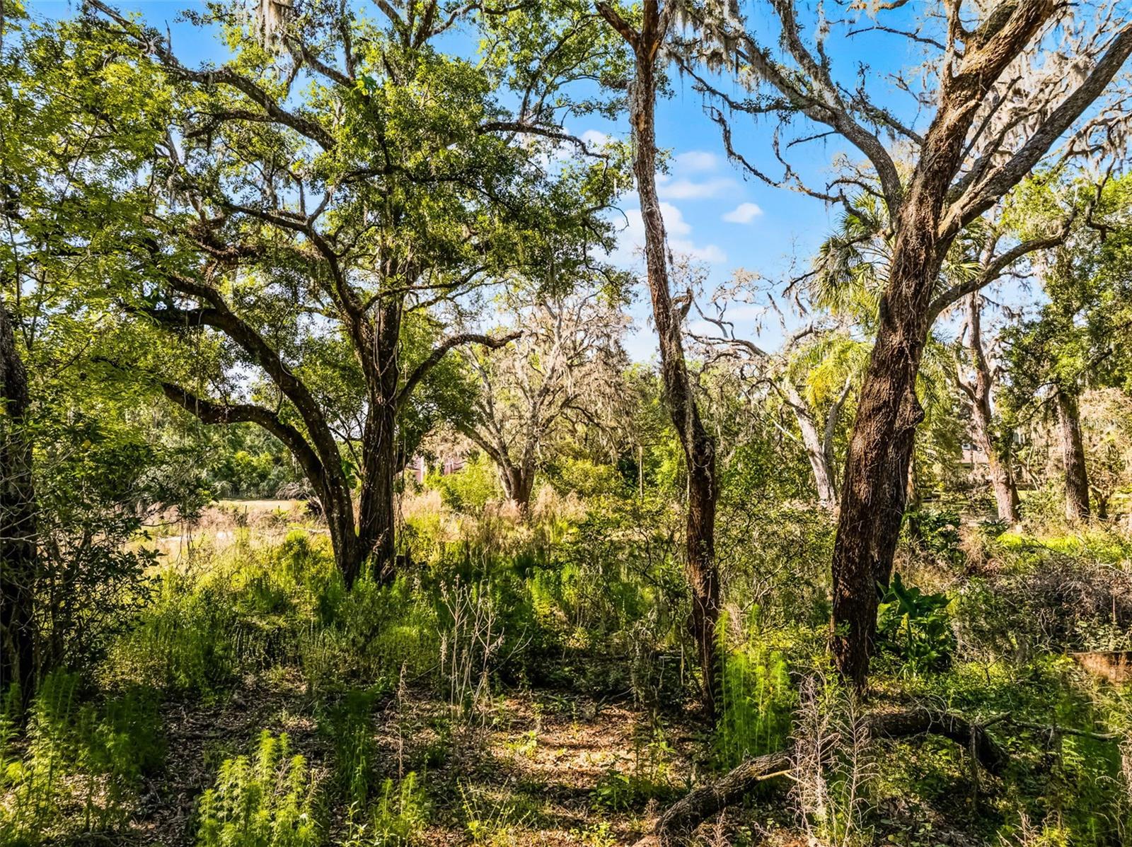3633 Panther Path Rd Property Photo 11