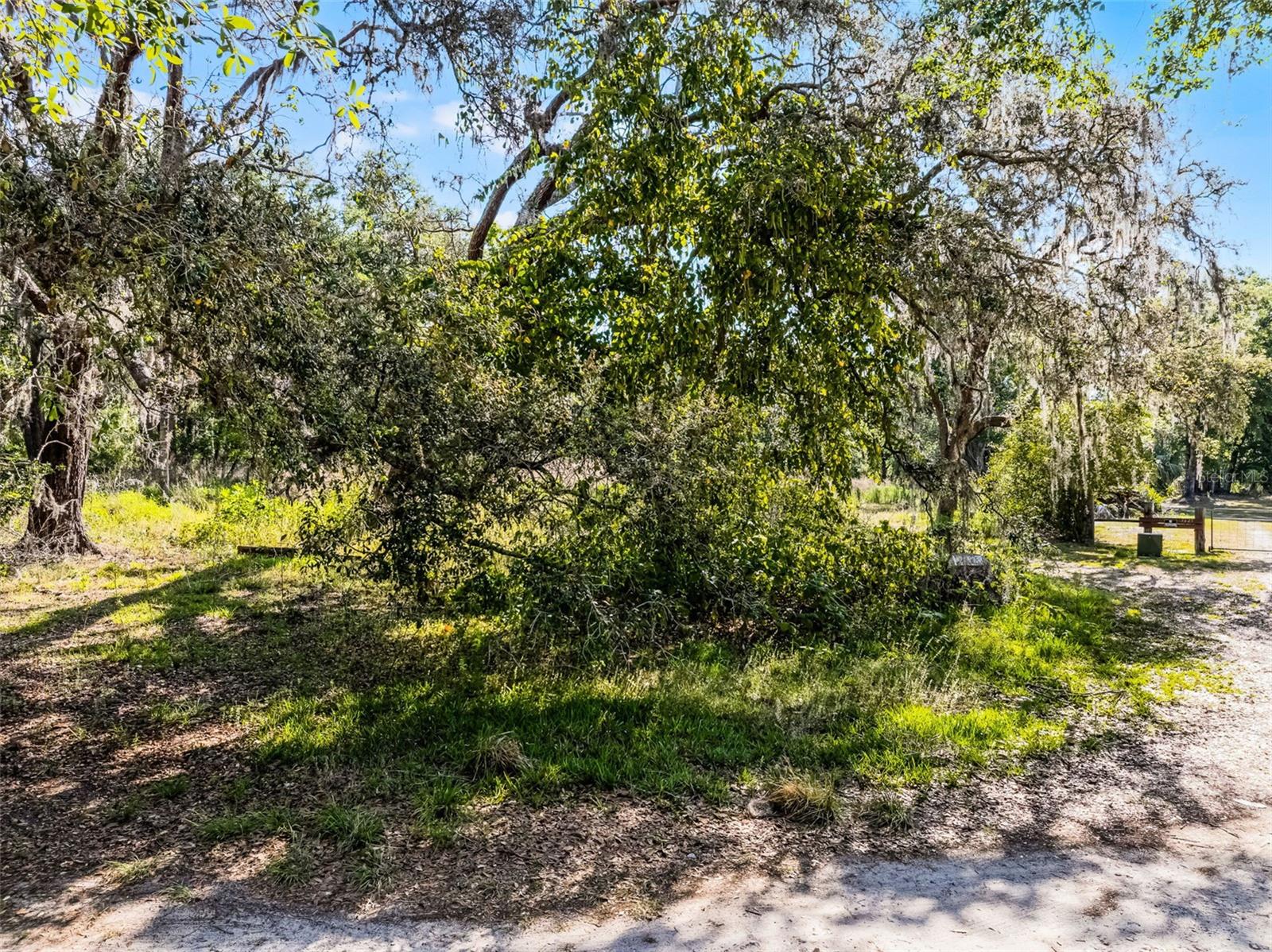 3633 Panther Path Rd Property Photo 12