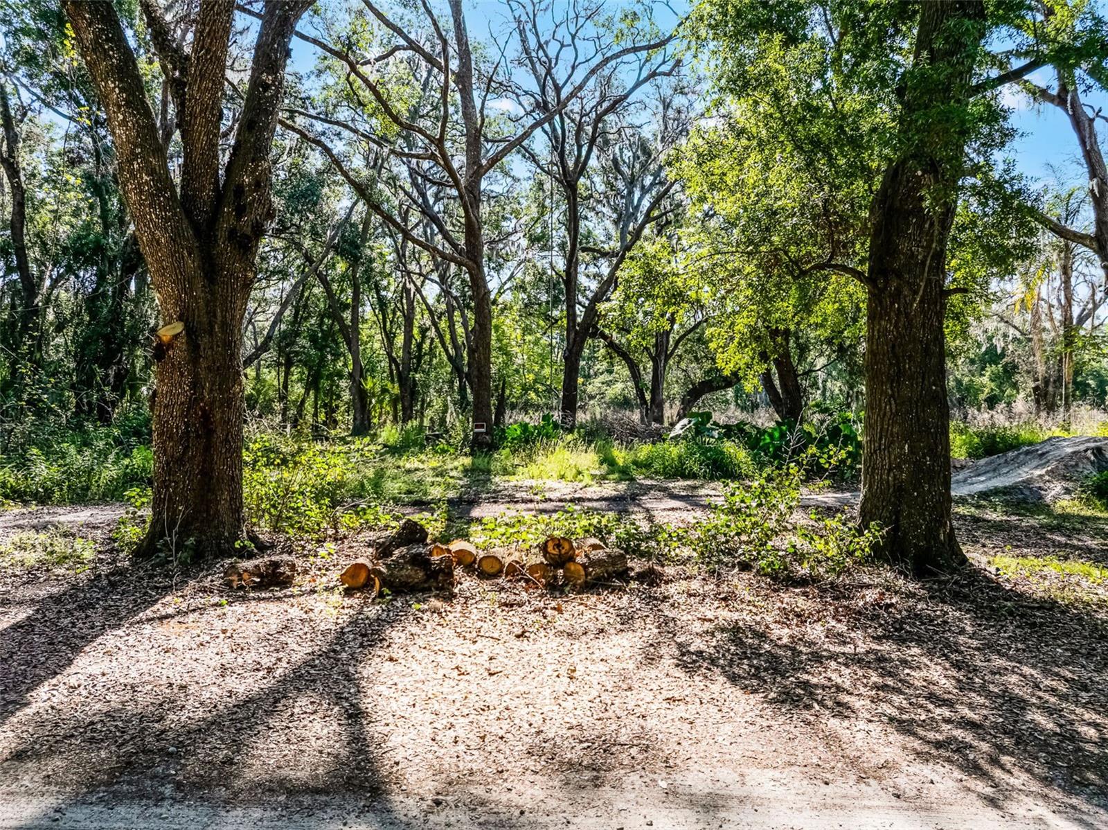 3633 Panther Path Rd Property Photo 13