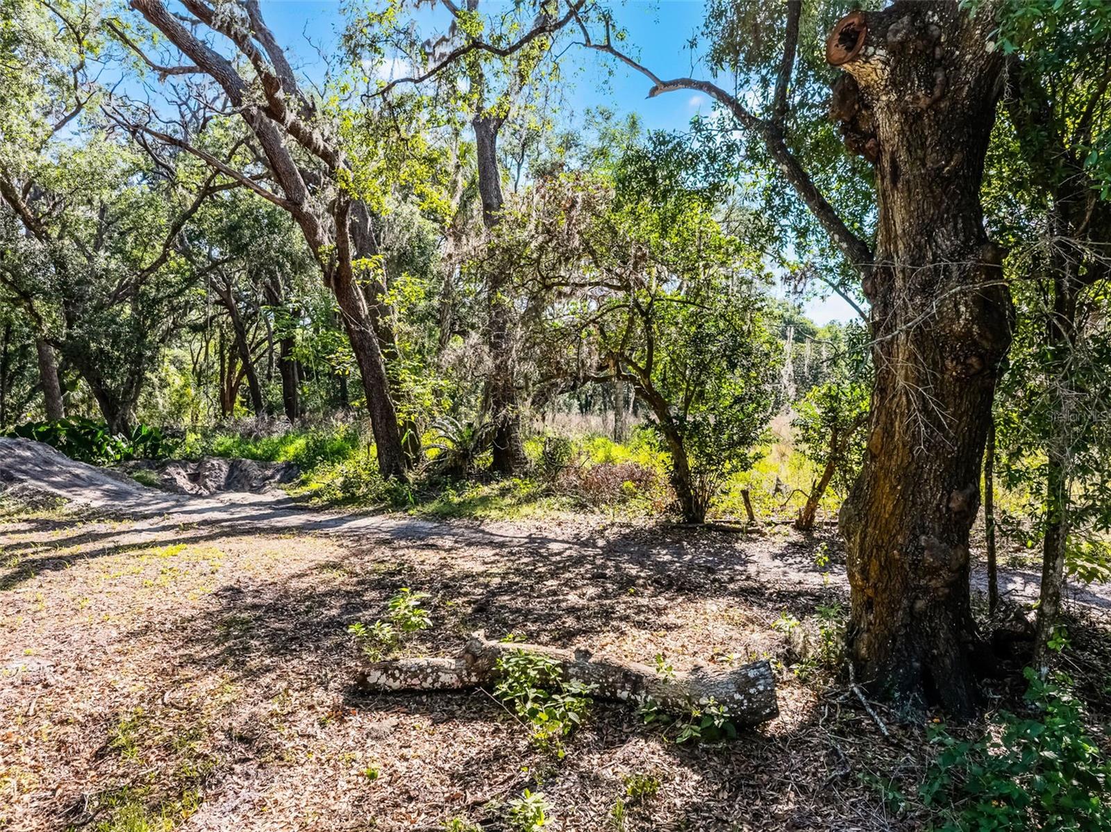 3633 Panther Path Rd Property Photo 14