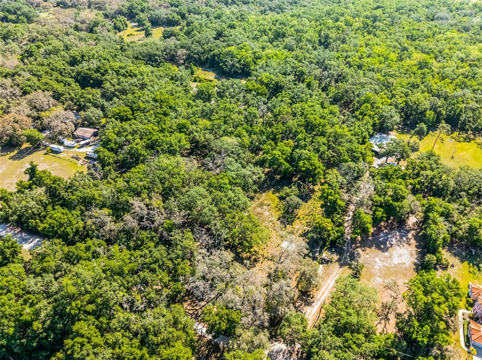 3633 Panther Path Rd Property Photo 19