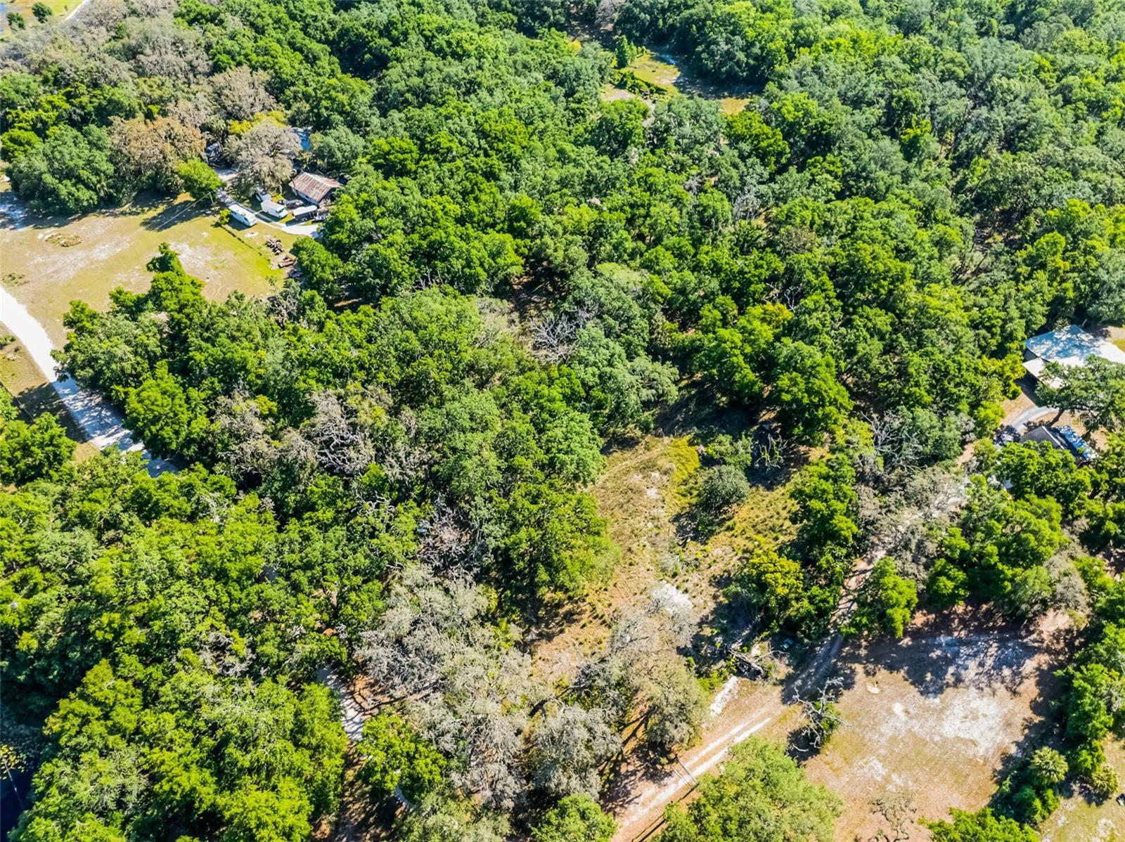 3633 Panther Path Rd Property Photo 21