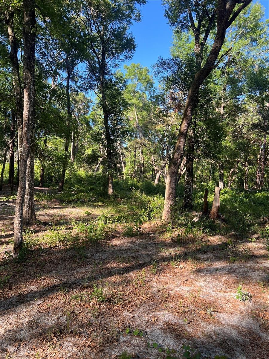 Sw 118th Ln Property Photo 4