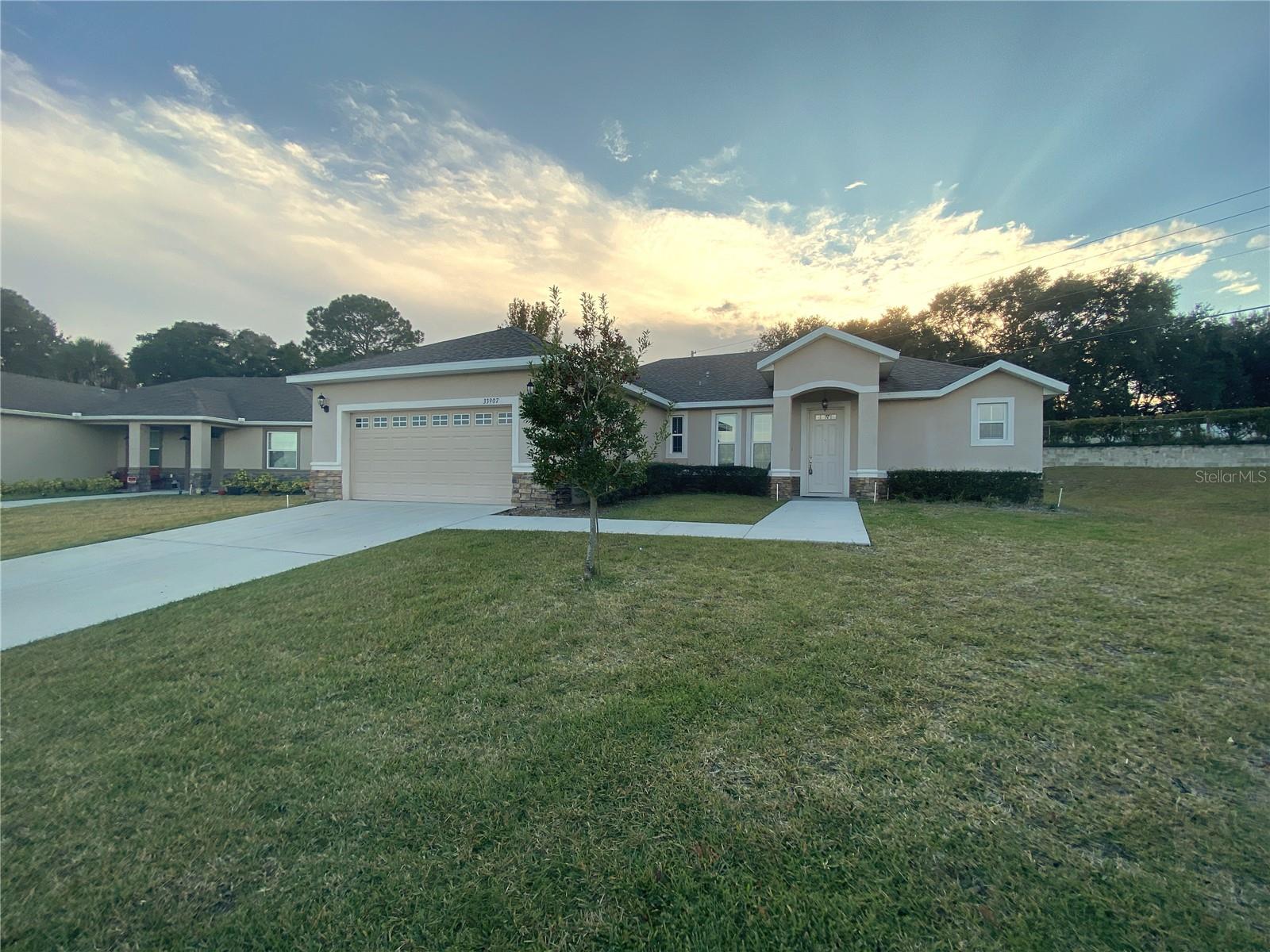 33907 Emerald Pond Loop Property Photo