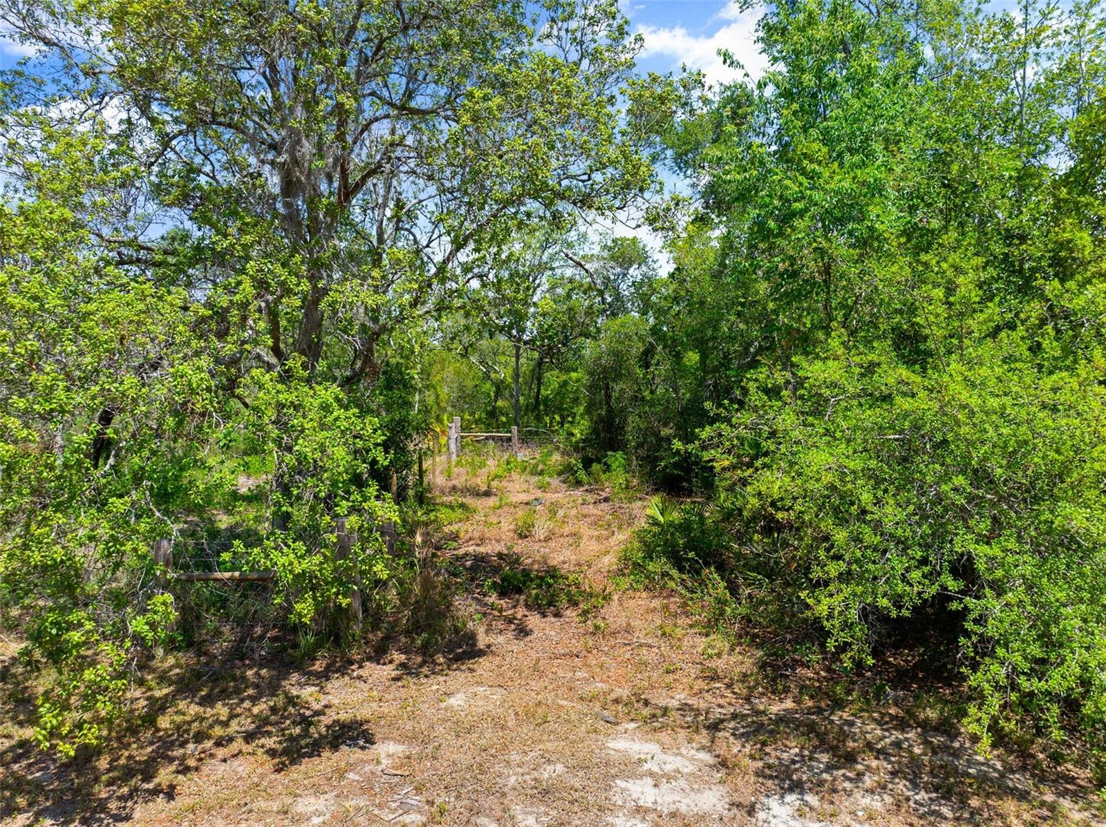 E Cemetery Rd Property Photo