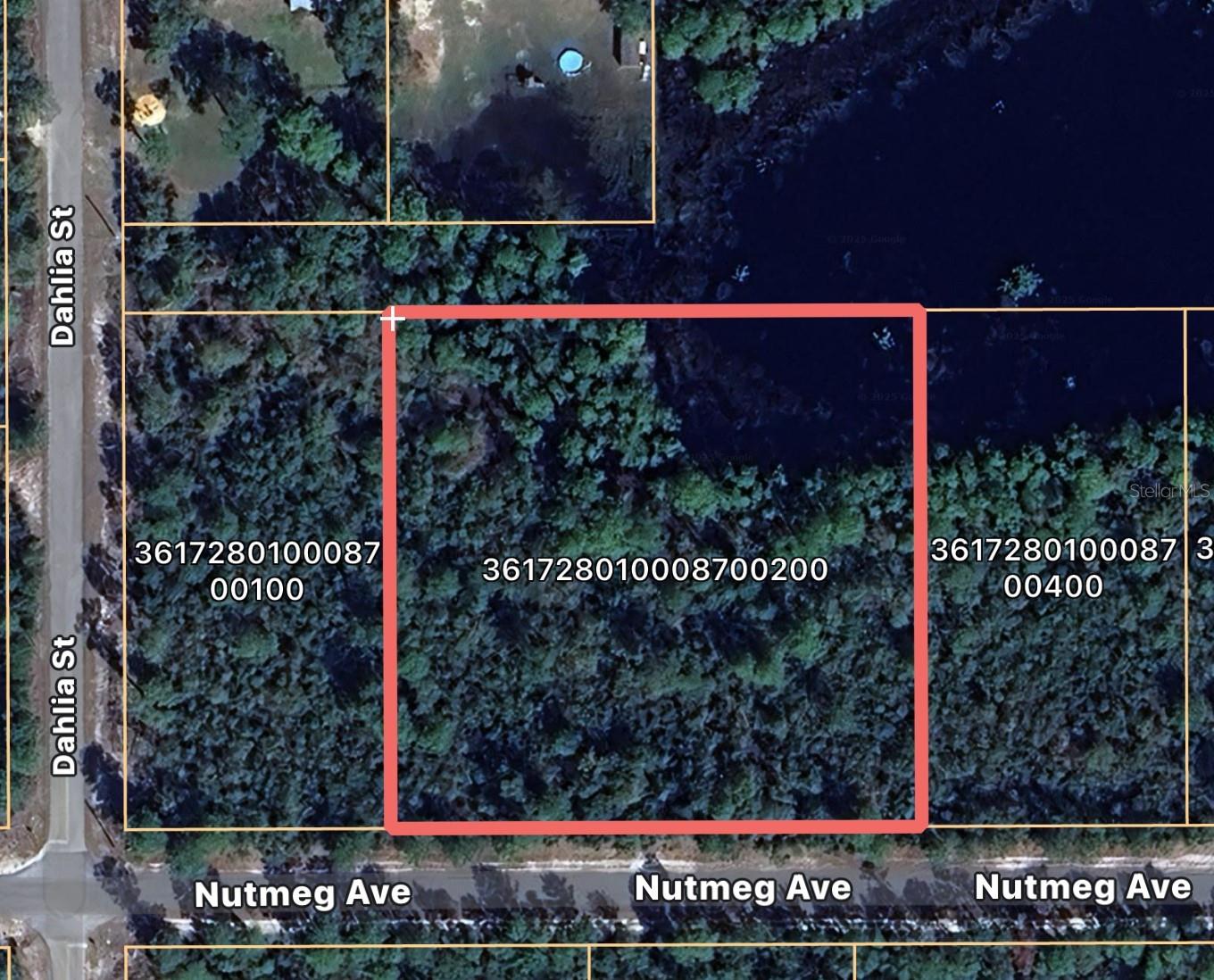 Nutmeg Ave Property Photo