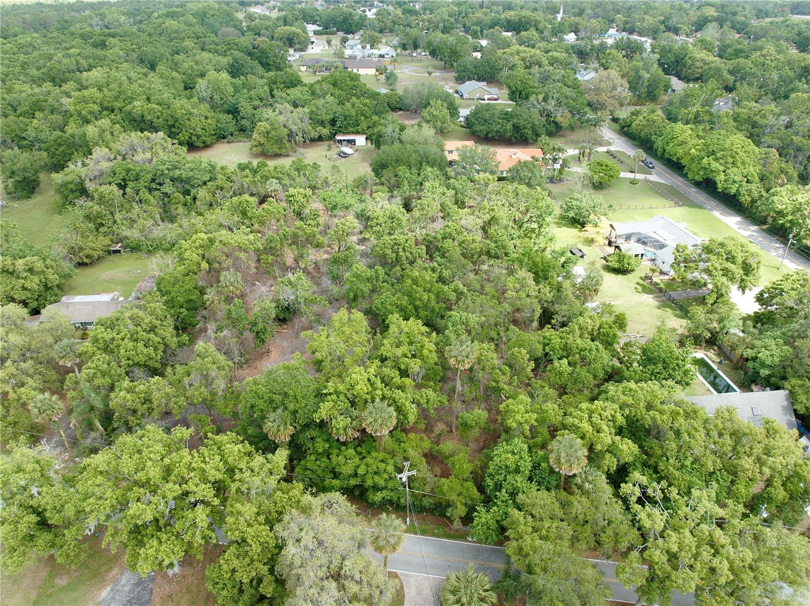 7343 Lake Ola Dr Property Photo 4