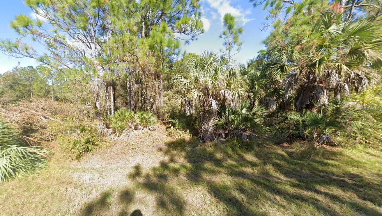 26224 DEER RD Property Photo 1