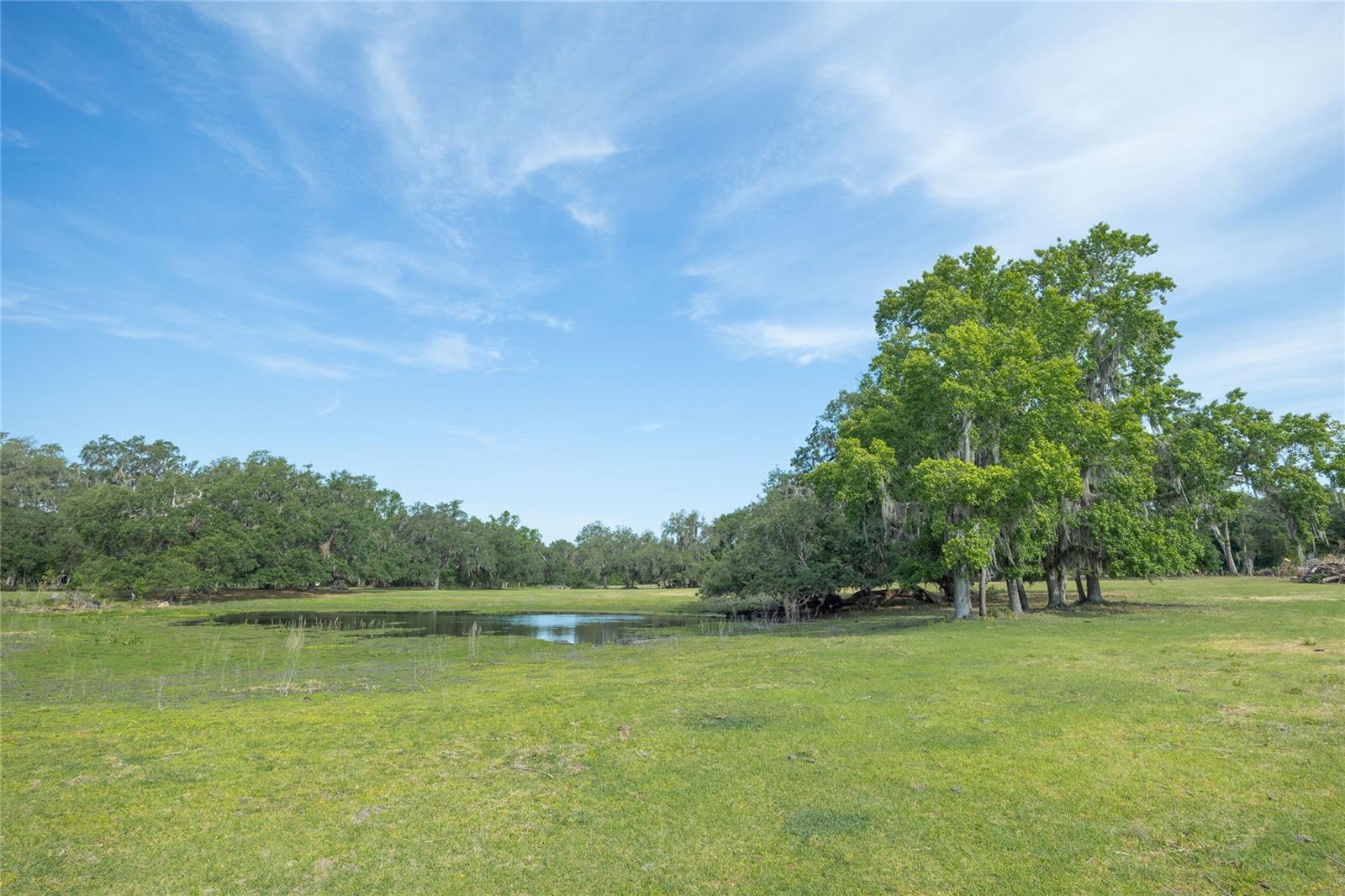 Tbd Cr 772b Property Photo 8
