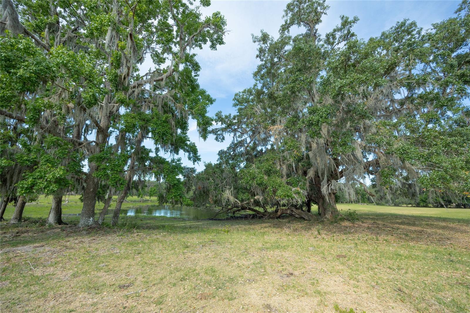 Tbd Cr 772b Property Photo 18