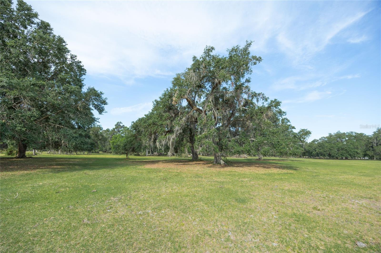 Tbd Cr 772b Property Photo 20