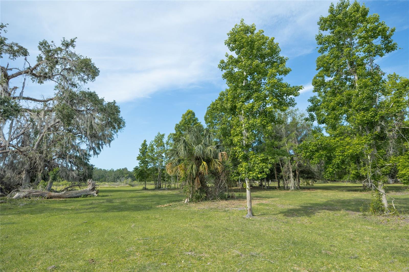 Tbd Cr 772b Property Photo 24