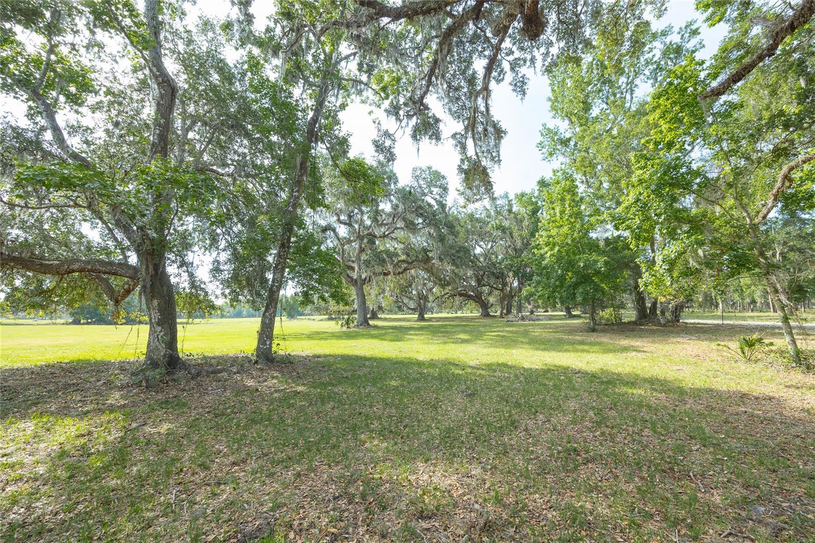 Tbd Cr 772b Property Photo 25